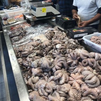Octopus Garden - Beautiful selection - Seafood Markets Near Me - Staten Island, New York Octopus Garden - Beautiful selection - Seafood Markets Near Me - Staten Island, New York