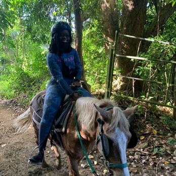 Carabali Rainforest Park - Horseback riding with Paco - Horseback Riding Near Me - Luquillo, Puerto Rico