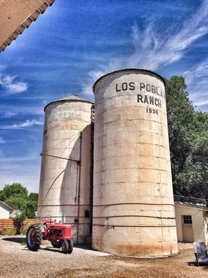 Farm Shop at Los Poblanos by null