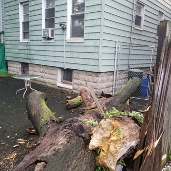 Skyline Tree Services - Tree Services Near Me Skyline Tree Services - Tree Services Near Me