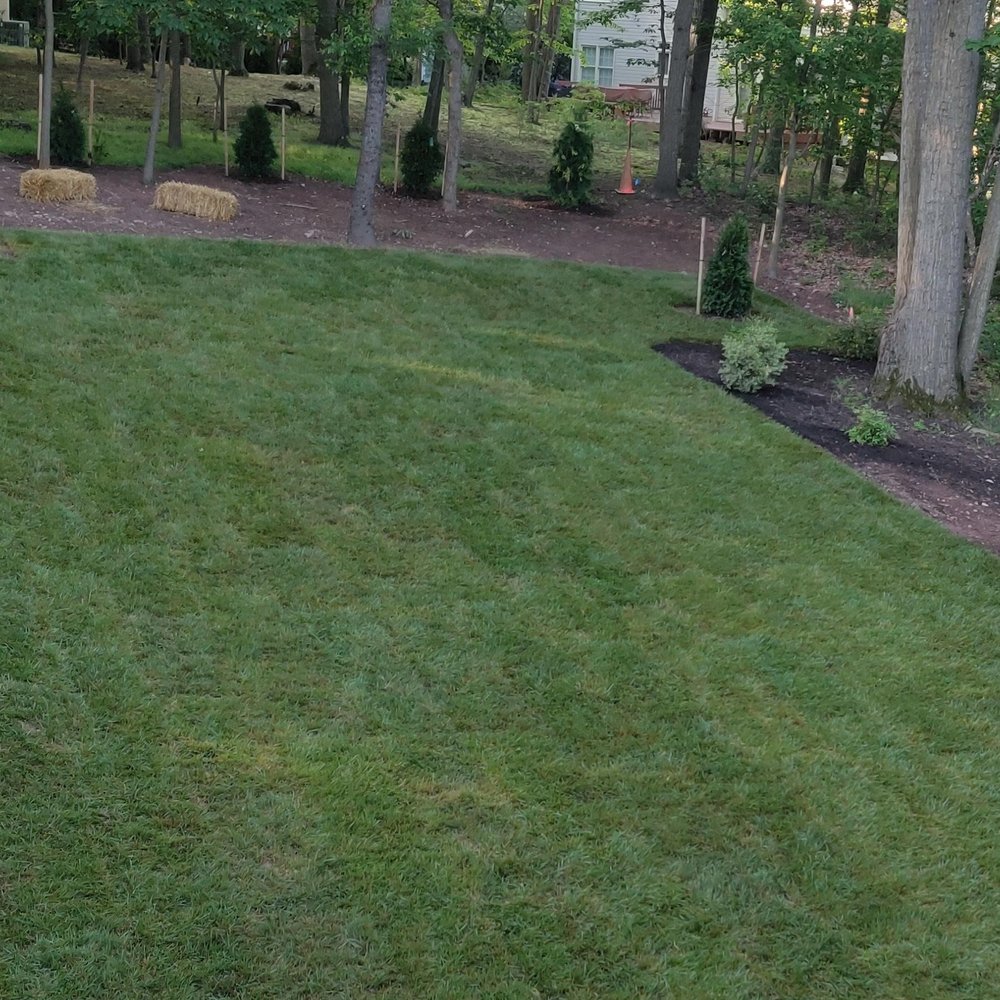 Cassella Design & Build - Finished - Landscaping Near Me - Springfield, Virginia Cassella Design & Build - Finished - Landscaping Near Me - Springfield, Virginia