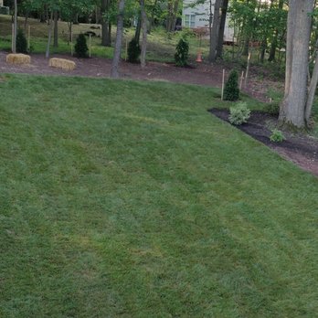 Cassella Design & Build - Finished - Landscaping Near Me - Springfield, Virginia Cassella Design & Build - Finished - Landscaping Near Me - Springfield, Virginia