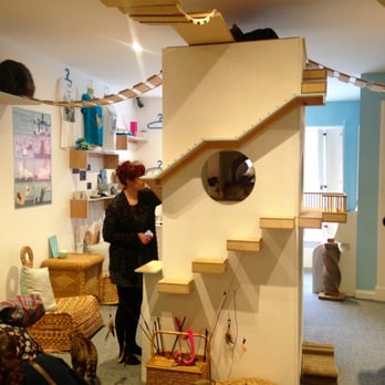 Maison de Moggy - I give in to the fact that my house will one day look like this... - Cafes Near Me - Edinburgh, EDH Maison de Moggy - I give in to the fact that my house will one day look like this... - Cafes Near Me - Edinburgh, EDH