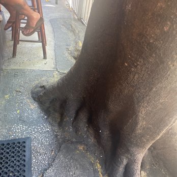 Hog's Breath Saloon - Bars Near Me - Key West, Florida