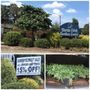 Photo of Turtle Creek Nursery