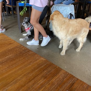 TownHall - Doggies!! - New American Near Me - Columbus, Ohio TownHall - Doggies!! - New American Near Me - Columbus, Ohio