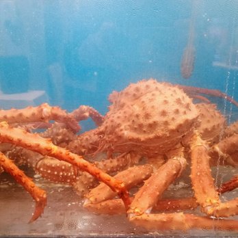 Sun Sui Wah Seafood Restaurant - Seafood Near Me - Richmond, British Columbia