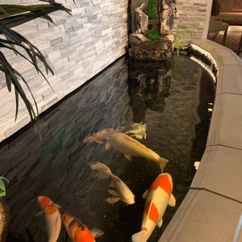 Spatacular - These fish were rescued - Massage Near Me - Orange, California Spatacular - These fish were rescued - Massage Near Me - Orange, California