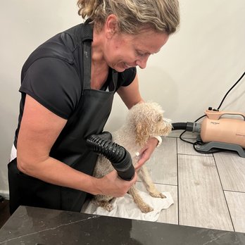 Scrub A Pup - Pet Groomers Near Me - Richmond, Kentucky Scrub A Pup - Pet Groomers Near Me - Richmond, Kentucky
