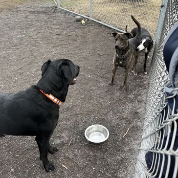 Gettysburg Dog Park - Dog Parks Near Me - Gettysburg, Pennsylvania Gettysburg Dog Park - Dog Parks Near Me - Gettysburg, Pennsylvania