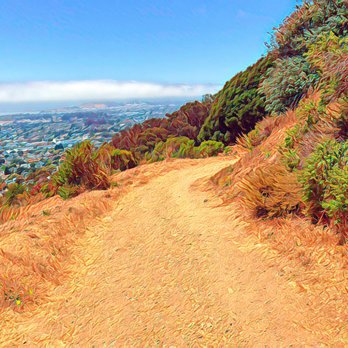 Hillside Natural Area - View from Hillside Natural Area - Parks Near Me - El Cerrito, California