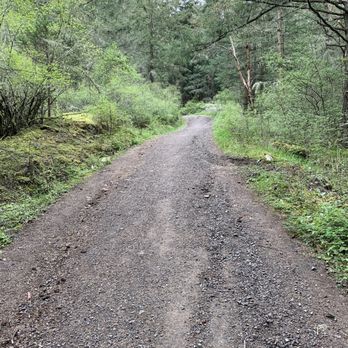 Turtleback Mountain Preserve - A little bit of gravel road paths. - Hiking Near Me - Eastsound, Washington Turtleback Mountain Preserve - A little bit of gravel road paths. - Hiking Near Me - Eastsound, Washington