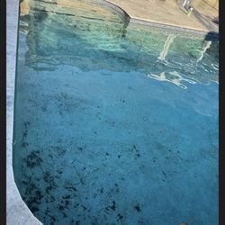 Aqua Doc Pools - Pool needed love