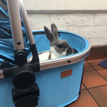 Redwood Veterinary Hospital - Tater 1-27-23 - Veterinarians Near Me - Visalia, California Redwood Veterinary Hospital - Tater 1-27-23 - Veterinarians Near Me - Visalia, California