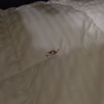 Residence Inn by Marriott Texarkana - Blood on comforter - Hotels Near Me - Texarkana, Texas Residence Inn by Marriott Texarkana - Blood on comforter - Hotels Near Me - Texarkana, Texas