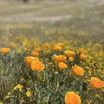 Eagle Rock Hike - Spring 2019 - Hiking Near Me - Warner Springs, California Eagle Rock Hike - Spring 2019 - Hiking Near Me - Warner Springs, California
