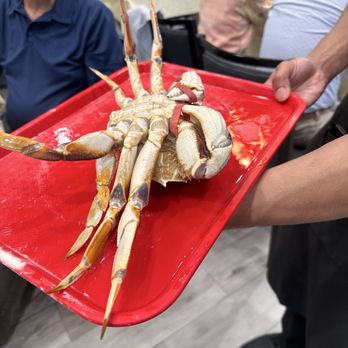 Kim Tar Seafood - Live Crab - Seafood Near Me - Temple City, California Kim Tar Seafood - Live Crab - Seafood Near Me - Temple City, California