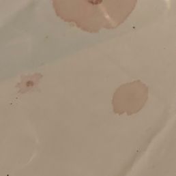 Blood-splattered tablecloth
