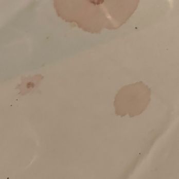 Fogo de Chão - Blood-splattered tablecloth - Brazilian Near Me - Baltimore, Maryland