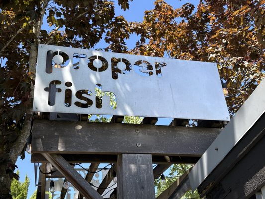 Proper Fish by null