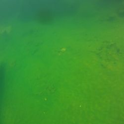 Mickey Hot Springs - We tied a GoPro to the end of a fishing pole to see what was in the bottom... just some railroad ties.