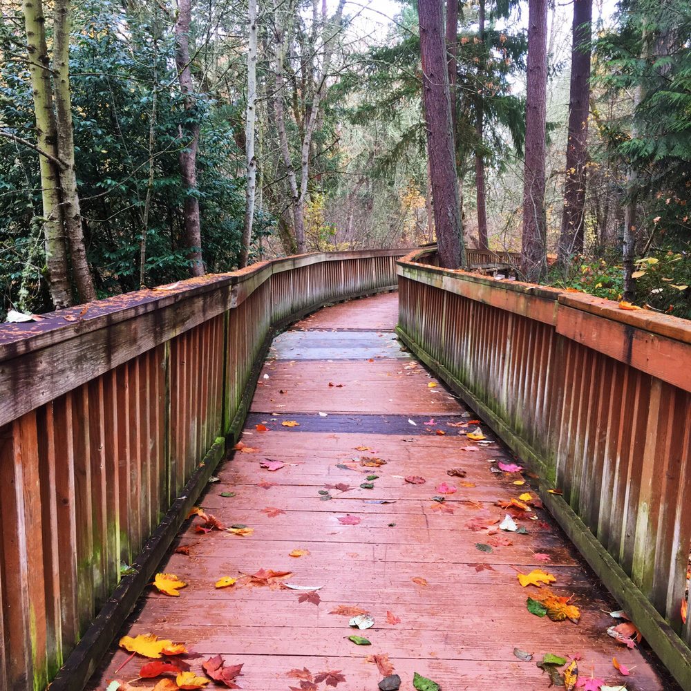 Willow Creek Nature Park - Path - Parks Near Me - Beaverton, Oregon Willow Creek Nature Park - Path - Parks Near Me - Beaverton, Oregon