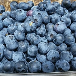 Underwood Ranches Produce