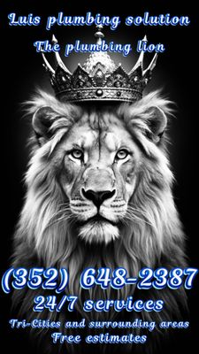 Luis Plumbing Solutions Logo