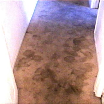 JB's Clean Carpets - Dirty - Carpet Cleaning Near Me - Calipatria, California