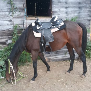 Mi Carreta Mexican Grill - My horse ,wilcosuprise... - Mexican Near Me - Lenoir, North Carolina