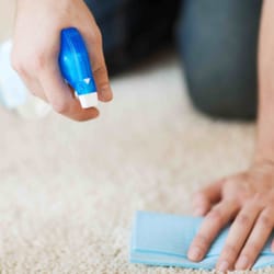 Carpet Line