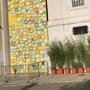 Photo of Flowerwall