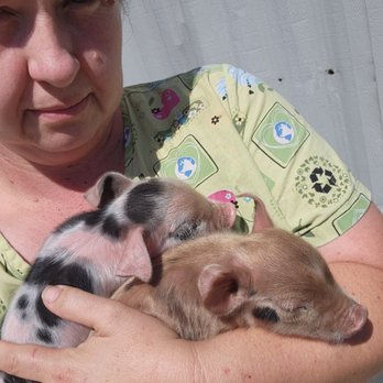 Caring Critter Sitter - Pet Sitting Near Me - Noble, Oklahoma Caring Critter Sitter - Pet Sitting Near Me - Noble, Oklahoma