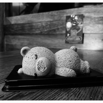 Bearology - He is heavily sedated. lol - Juice Bars & Smoothies Near Me - Temple City, California