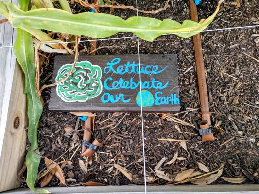 The Green Heart Project