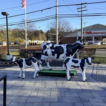 Maureen's Kitchen - Breakfast & Brunch Near Me - Smithtown, New York Maureen's Kitchen - Breakfast & Brunch Near Me - Smithtown, New York