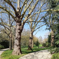Parc de Maurepas - Le parc de Maurepas en printemps 2019