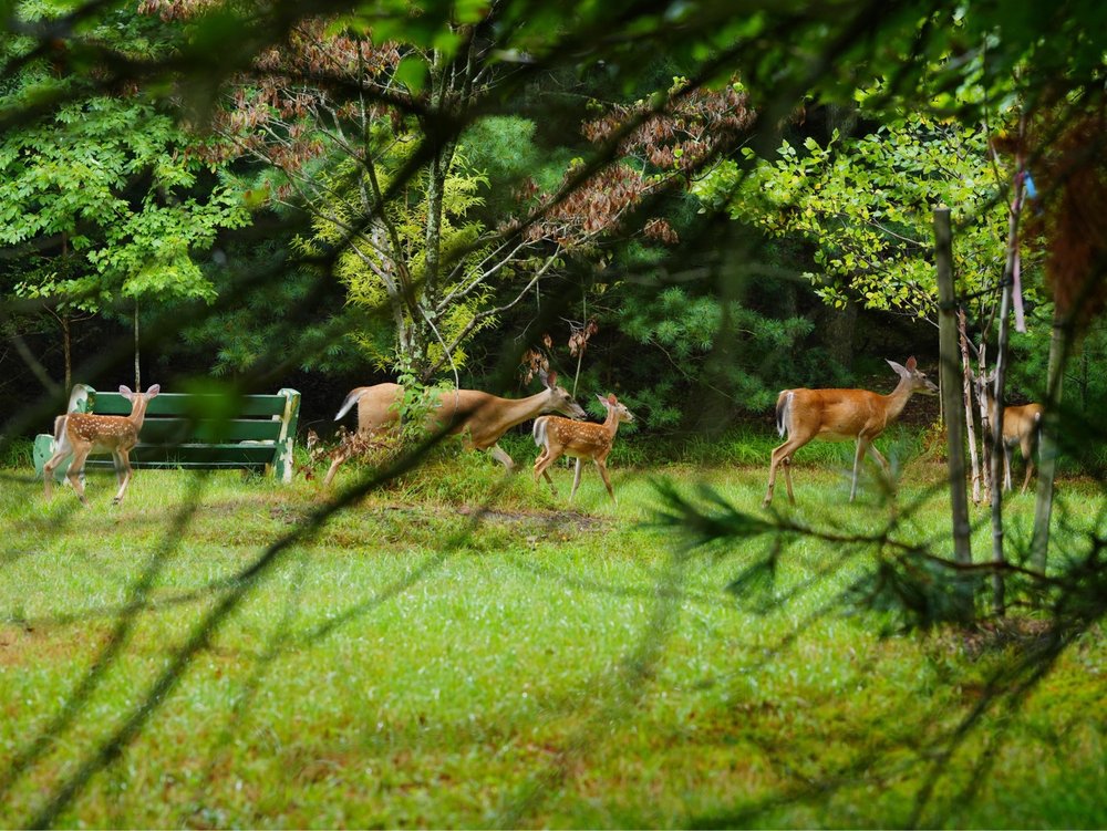 Ocean County Park Image