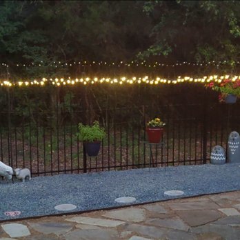 B.C. Fence - Iron fence perfect for wrapping twinkly lights on - Fences & Gates Near Me - Cedar Park, Texas B.C. Fence - Iron fence perfect for wrapping twinkly lights on - Fences & Gates Near Me - Cedar Park, Texas