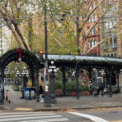 The Pergola