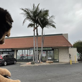 Jamacha Pet Vets - Veterinarians Near Me - Santee, California Jamacha Pet Vets - Veterinarians Near Me - Santee, California