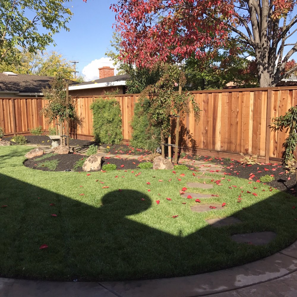 Backyard project