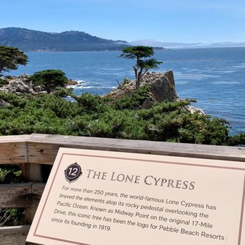 The Lone Cypress - Love this picture of The Lone Cypress. - Landmarks & Historical Buildings Near Me - Del Monte Forest, California