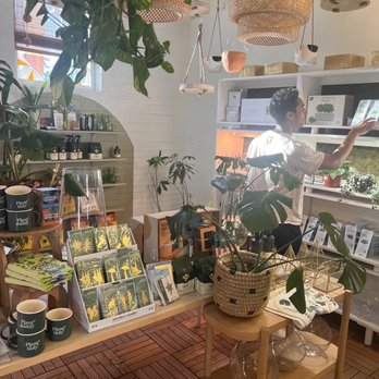 Jade & Clover - Nurseries & Gardening Near Me - Phoenix, Arizona