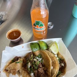 Taqueria El Gallo - Delicious! Hit the spot.
