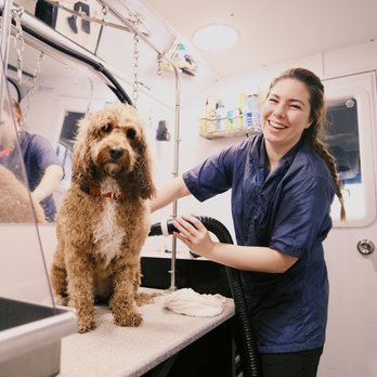 Barkbus Mobile Dog Grooming - Just another good hair day in Dallas!
Fluff, smiles, and tail wags all around - Pet Groomers Near Me Barkbus Mobile Dog Grooming - Just another good hair day in Dallas!
Fluff, smiles, and tail wags all around - Pet Groomers Near Me