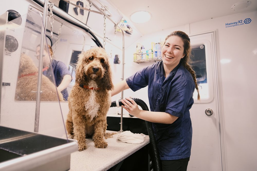 BARKBUS MOBILE DOG GROOMING Updated December 2025 36 Photos & 19