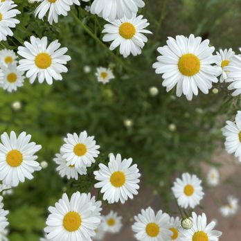Idaho Botanical Garden - Museums Near Me - Boise, Idaho Idaho Botanical Garden - Museums Near Me - Boise, Idaho