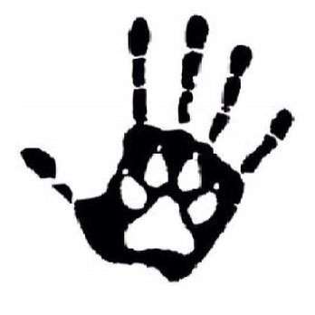 Chelsey's Companion Care - Dog Walkers Near Me Chelsey's Companion Care - Dog Walkers Near Me