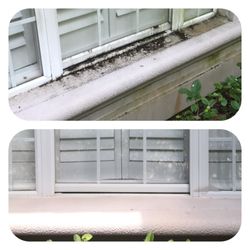 Eddie’s Pressure Washing - House washing / pressure washing. Offered in Sanford, Heathrow, Lake Mary, Longwood, Deltona, Deland and Winter Springs